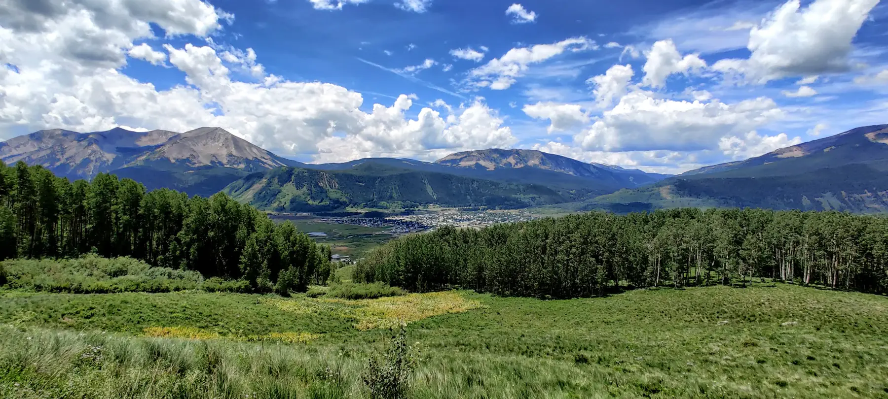 Green forest and peaks under summer clouds